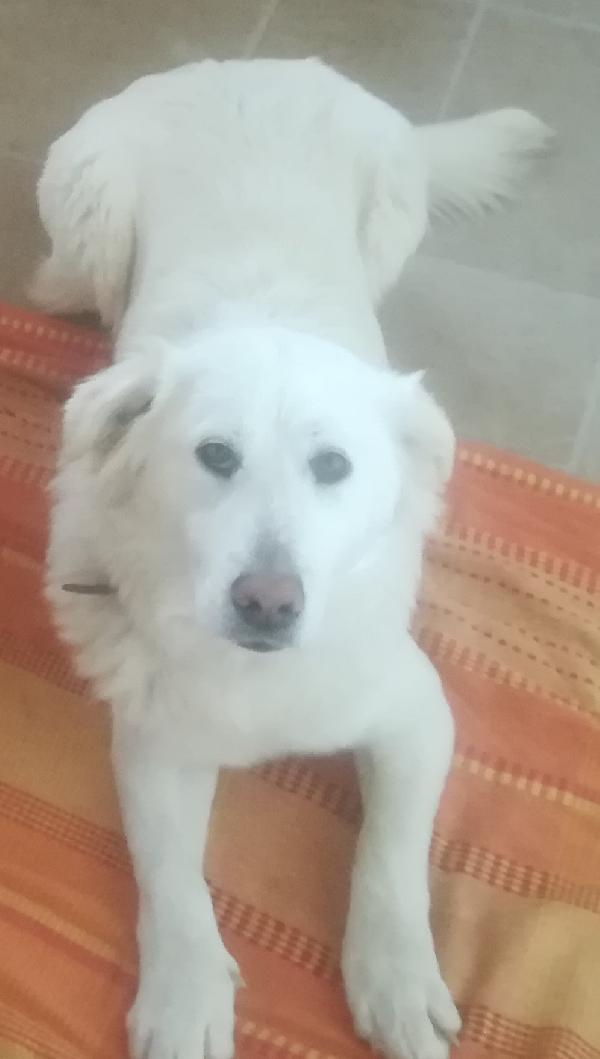 Belle Foto 4